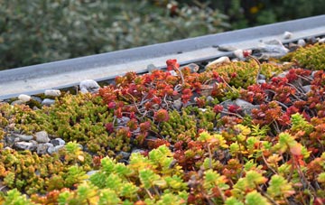 the cost of Combe Fishacre green roof installation