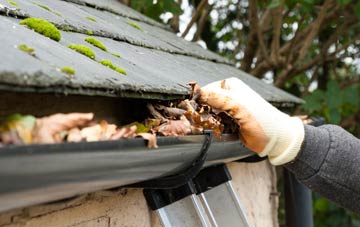 gutter cleaning Combe Fishacre, Devon