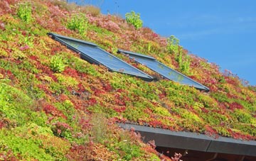 Combe Fishacre living roof systems