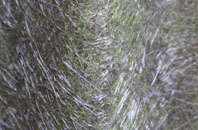 Combe Fishacre fibreglass roof work